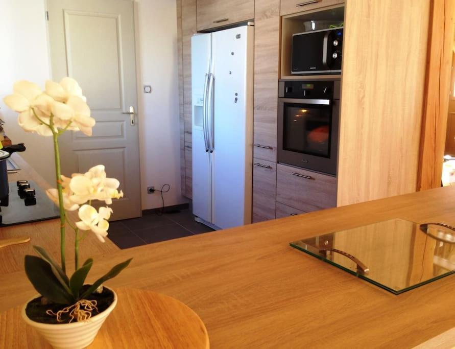 Spacieux Chalet Loudenvielle